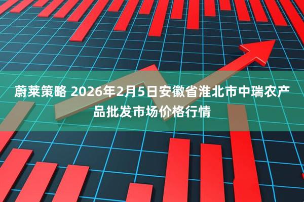 蔚莱策略 2026年2月5日安徽省淮北市中瑞农产品批发市场价格行情