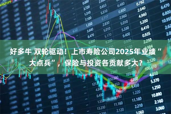 好多牛 双轮驱动！上市寿险公司2025年业绩“大点兵”，保险与投资各贡献多大？