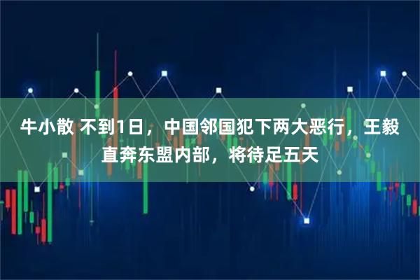 牛小散 不到1日，中国邻国犯下两大恶行，王毅直奔东盟内部，将待足五天