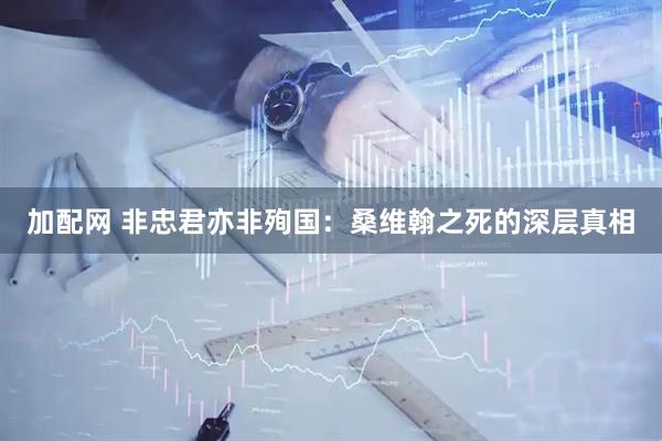 加配网 非忠君亦非殉国：桑维翰之死的深层真相